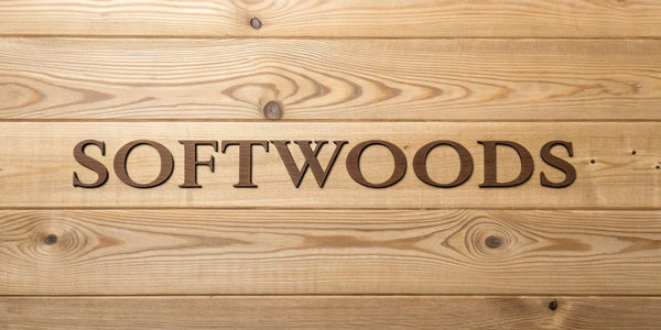 Softwoods
