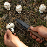 Couteau Bushcraft compact en acier au carbone Manche en noyer avec étui en cuir – BSH5 Shadow